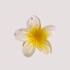 Kleine Blumen Haarklammer