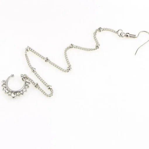 Ohrring Septum