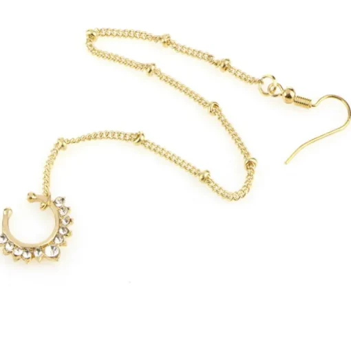Ohrring Septum