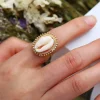 Ring Mussel