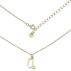 Sterling Silber 925 Steinbock Sternzeichen Kette