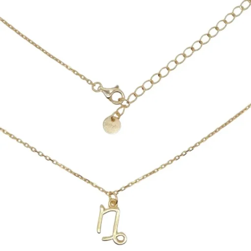 Sterling Silber 925 Steinbock Sternzeichen Kette
